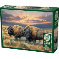 COBBLE HILL Puzzle Prašné pláne 1000 dielikov
