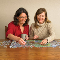 COBBLE HILL Puzzle Vtáky v ročných obdobiach 1000 dielikov