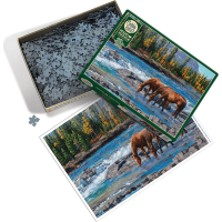 COBBLE HILL Puzzle Skalnatý brod 1000 dielikov