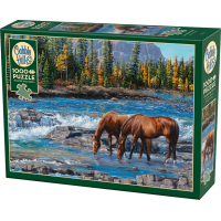 COBBLE HILL Puzzle Skalnatý brod 1000 dielikov
