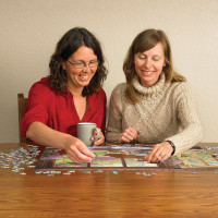 COBBLE HILL Puzzle Slnečný lúč 500 dielikov
