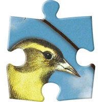 Galison Obojstranné puzzle Vtáčia symfónia 250 dielikov