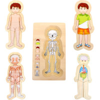 small foot Drevené hračky puzzle anatómie Tim