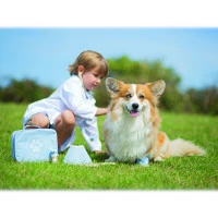 Bigjigs Toys Veterinárny set
