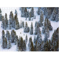 Galison Obojstranné puzzle Sneh Gray Malin 500 dielikov