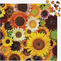 Galison Puzzle Kvety slnečníc 500 dielikov