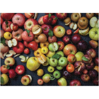 Galison Puzzle Odrody jabĺk 1000 dielikov