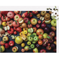 Galison Puzzle Odrody jabĺk 1000 dielikov