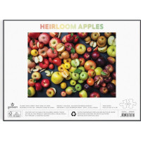 Galison Puzzle Odrody jabĺk 1000 dielikov