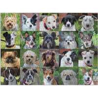 Galison Puzzle Cestoviny 1000 dielikov