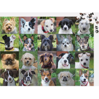 Galison Puzzle Cestoviny 1000 dielikov