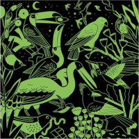 Mudpuppy Puzzle Vtáky - svietia v tme 500 dielikov