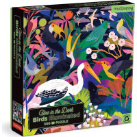 Mudpuppy Puzzle Vtáky - svietia v tme 500 dielikov
