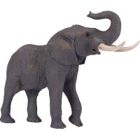 Mojo Slon africký