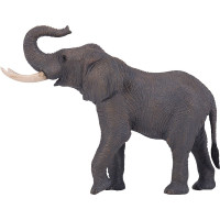 Mojo Slon africký