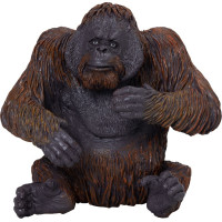 Mojo Orangutan