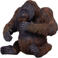 Mojo Orangutan