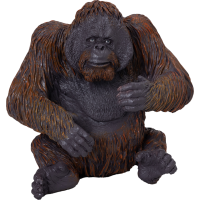Mojo Orangutan