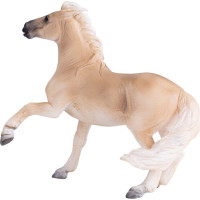 Mojo Kobyla Brumby