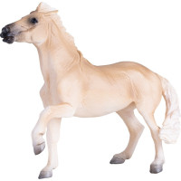 Mojo Kobyla Brumby
