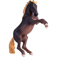 Mojo Žrebec Brumby