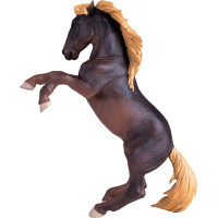 Mojo Žrebec Brumby