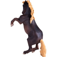 Mojo Žrebec Brumby