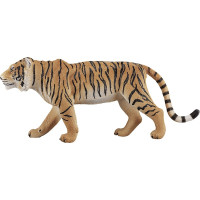 Mojo Tiger bengálsky