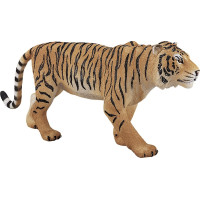 Mojo Tiger bengálsky