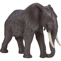 Mojo Slon africký