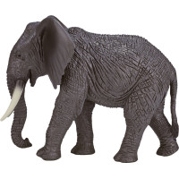 Mojo Slon africký