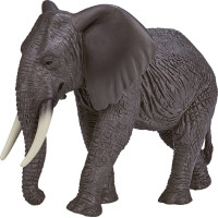 Mojo Slon africký