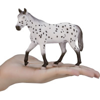 Mojo Appaloosa žrebec