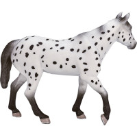 Mojo Appaloosa žrebec