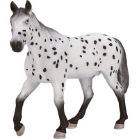 Mojo Appaloosa žrebec