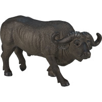 Mojo Byvol africký