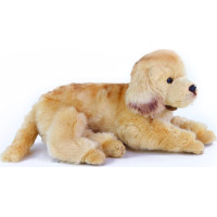 Rappa Plyšový pes zlatý retriever ležiaci 32 cm ECO-FRIENDLY