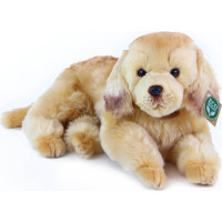 Rappa Plyšový pes zlatý retriever ležiaci 32 cm ECO-FRIENDLY