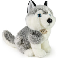 Rappa Plyšový pes Husky sediaci 30 cm ECO-FRIENDLY