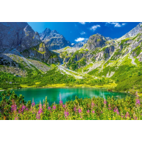 CASTORLAND Puzzle Zelené pleso, Tatry 1000 dielikov