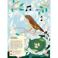 Chronicle Books Kniha aktivít so samolepkami my nature Vtáky sveta