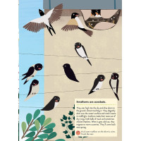 Chronicle Books Kniha aktivít so samolepkami my nature Vtáky sveta