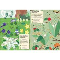 Chronicle Books Kniha aktivít so samolepkami my nature V lese