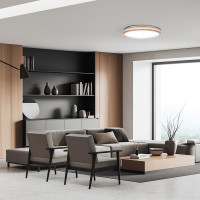 Solight LED osvetlenie s diaľkovým ovládačom Woody, 60W, 4200lm, 50cm, zmena chromatickosti, stmievateľné