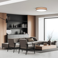 Solight LED osvetlenie s diaľkovým ovládačom Brownie, 60W, 4200lm, 50cm, zmena chromatickosti, stmievateľné