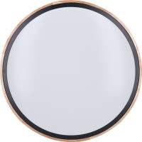 Solight LED osvetlenie s diaľkovým ovládačom Iron Oak, 60W, 4200lm, 51cm, zmena chromatickosti, stmievateľné