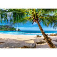 CASTORLAND Puzzle Dovolenka na Seychelách 500 dielikov