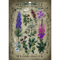 RAVENSBURGER Puzzle Jedovaté rastliny 1000 dielikov