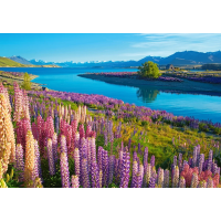 CASTORLAND Puzzle Jazero Tekapo, Nový Zéland 500 dielikov