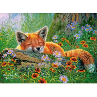 CASTORLAND Puzzle Líščie snívanie 100 dielikov